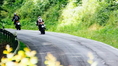 Titel Bild zu Heimatliebe: Was Olli an der Eifel so mag