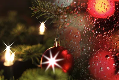 Titel Bild zu Nasse weihnachtliche Romantik in Trier