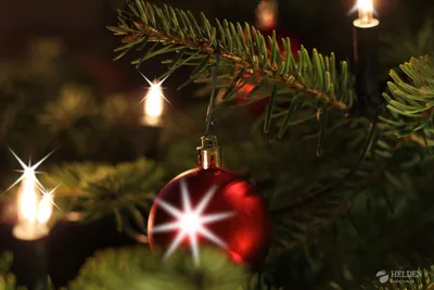 Titel Bild zu Vorweihnachtliche Romantik in Trier